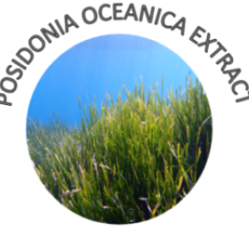 POSIDONIA EXTRACT BANNER